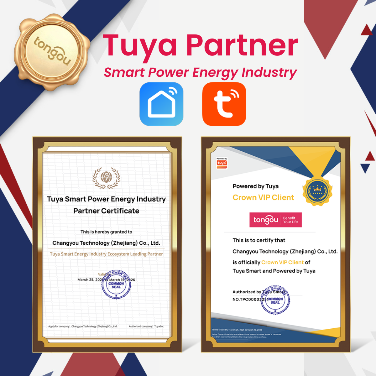 tuya tongou smart power energy partner